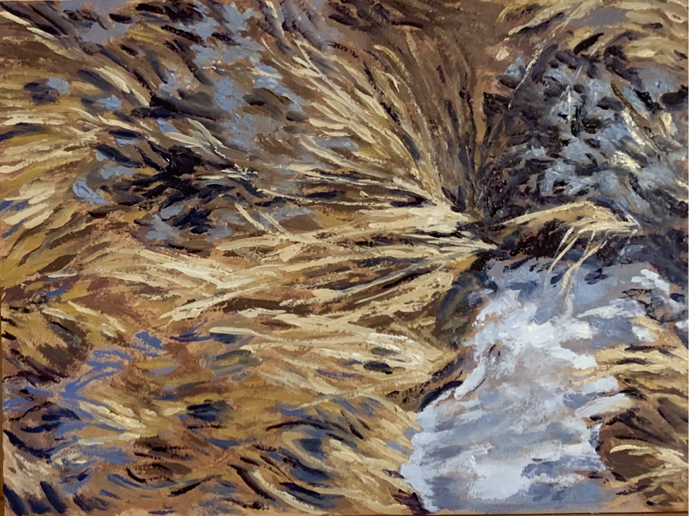 Snowmelt (grass closeup)